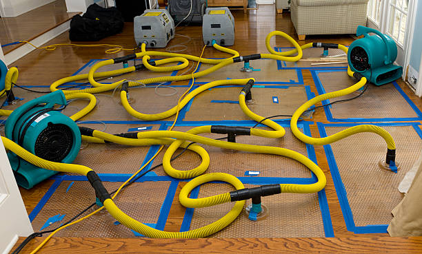 Professional Crawl Space Water Removal technician working in Lebanon, OH